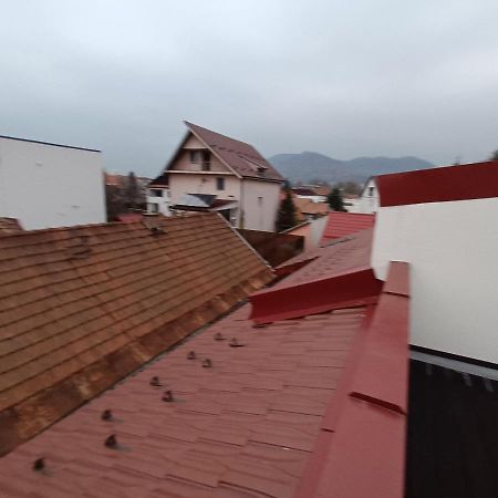 Old Town Studio Apartments Baia Mare Exterior foto